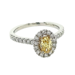 Platinum & 18ct Yellow Gold Oval Yellow Diamond Halo Ring