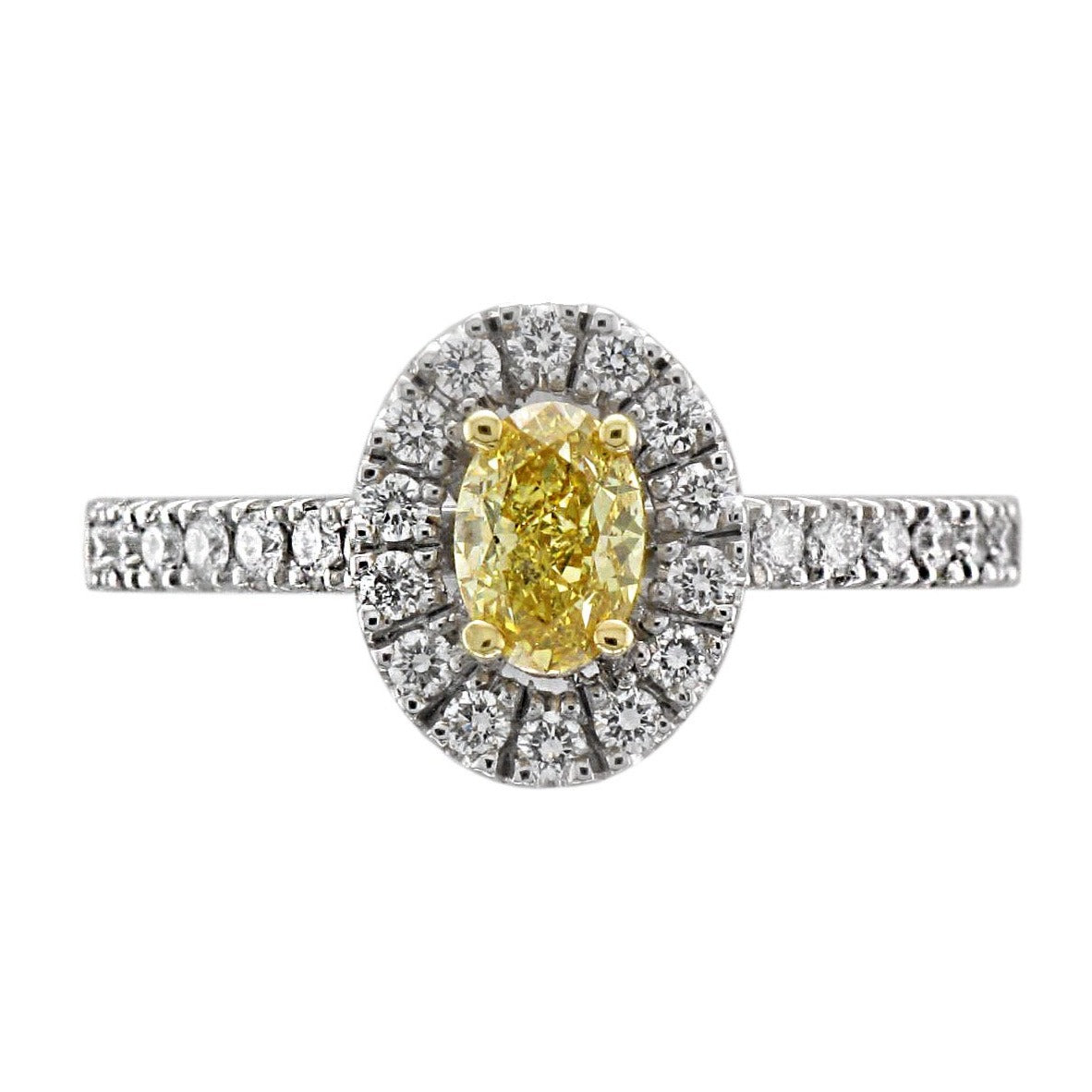 Platinum & 18ct Yellow Gold Oval Yellow Diamond Halo Ring - Andrew Scott