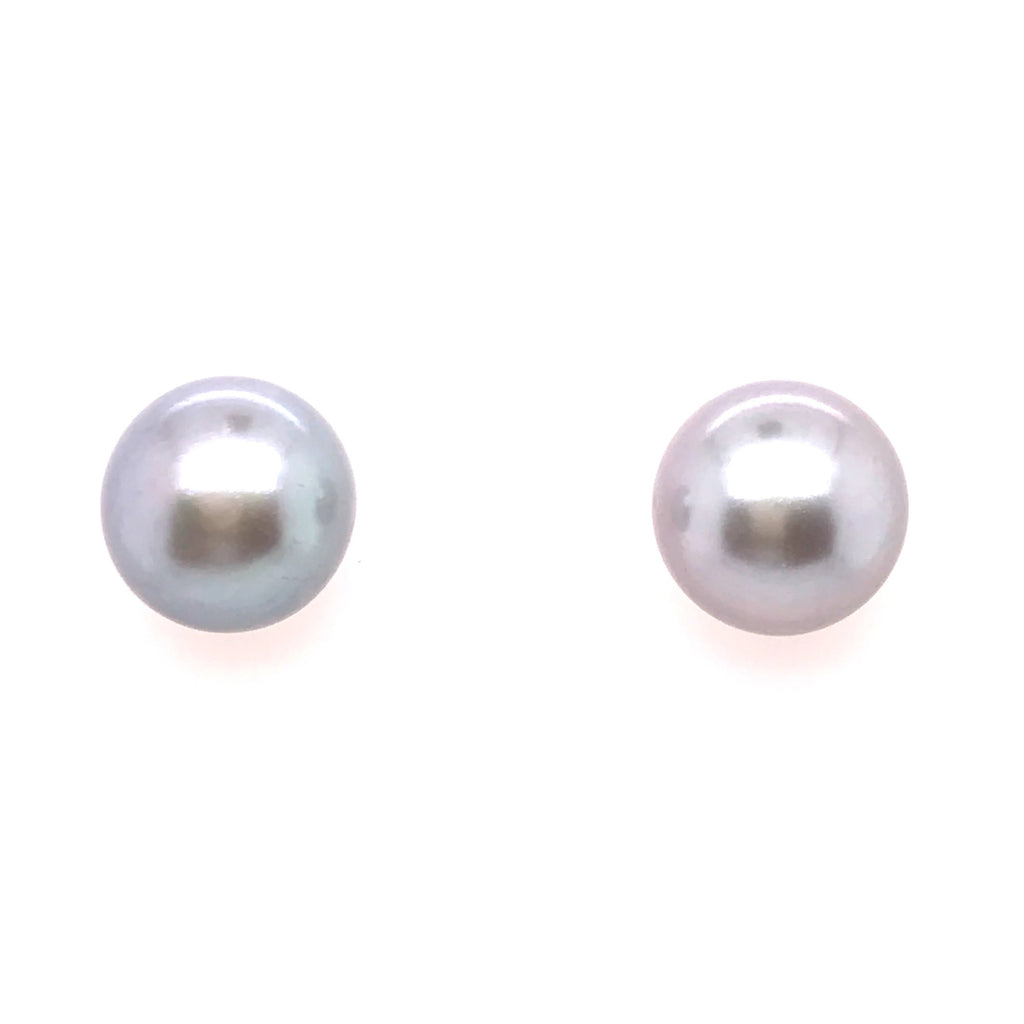 9ct Yellow Gold Grey Freshwater Bouton Pearl Stud Earrings - Andrew Scott