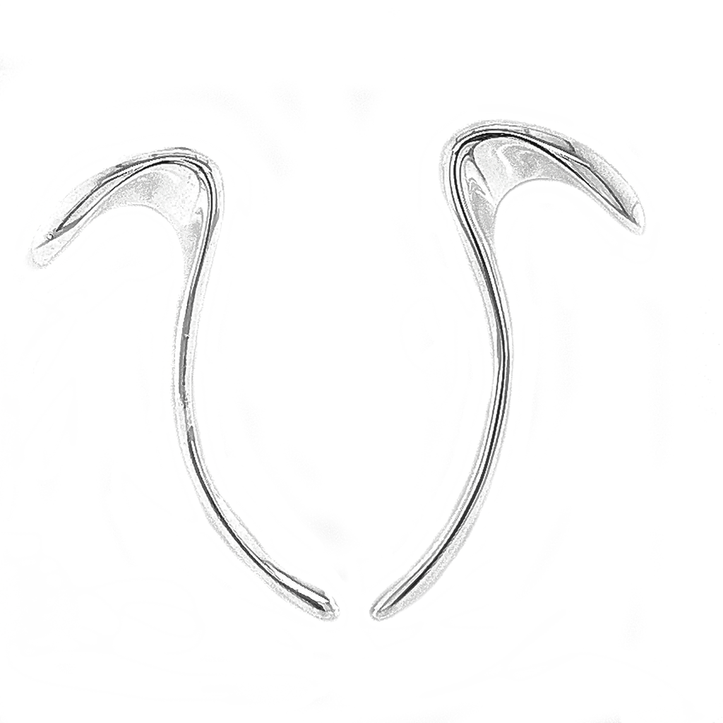 Silver Long S Shape Earrings